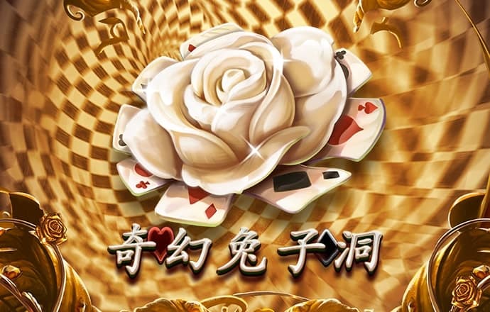 火孤体育平台